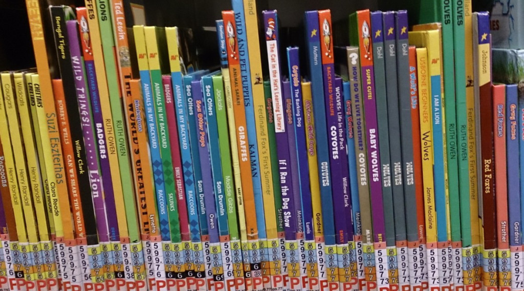 Books