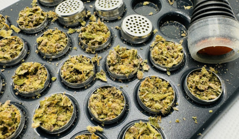Photograph of medical cannabis microdosing capsules.