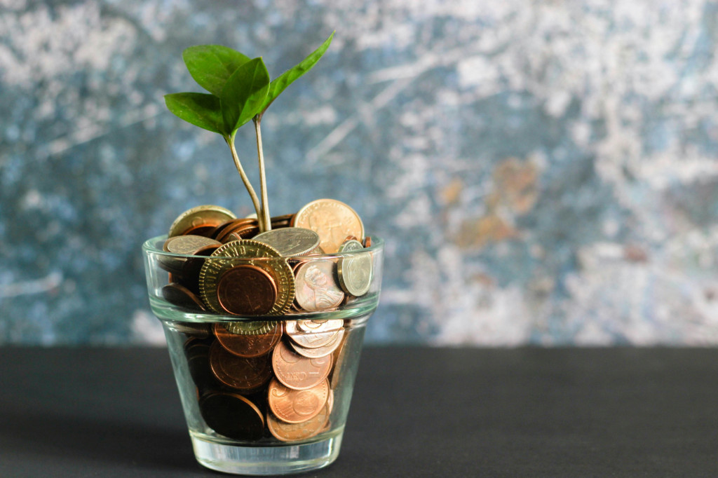glass containing coins and a seedling