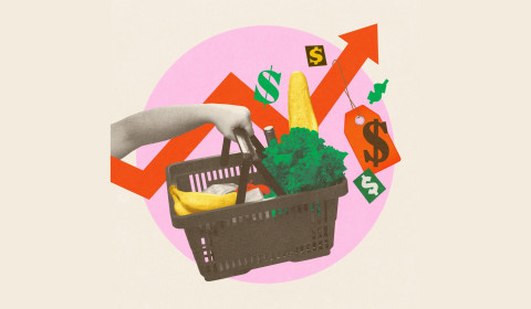 Collage art featuring a hand holding a shopping basket filled with groceries, set against a pink circle background with an upward-trending red arrow, floating dollar signs, and a price tag.